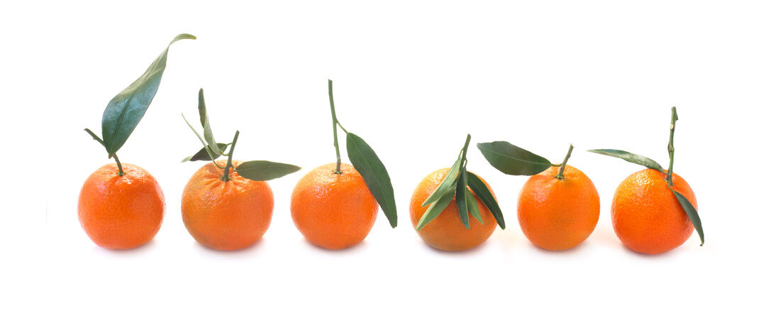Ätherisches Öl des Monats November: Mandarine
